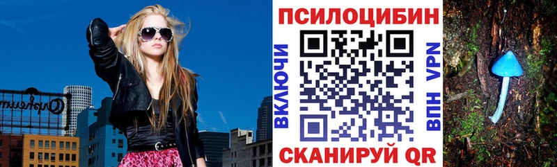 Купить  Владивосток  Псилоцибиновые грибы MAGIC MUSHROOMS